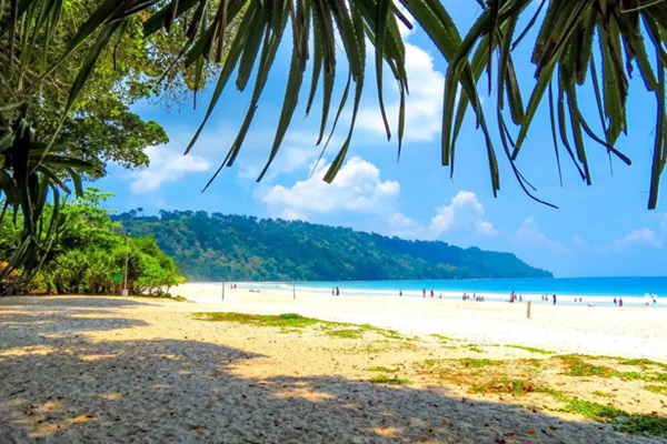 Indian Beaches and Backwaters